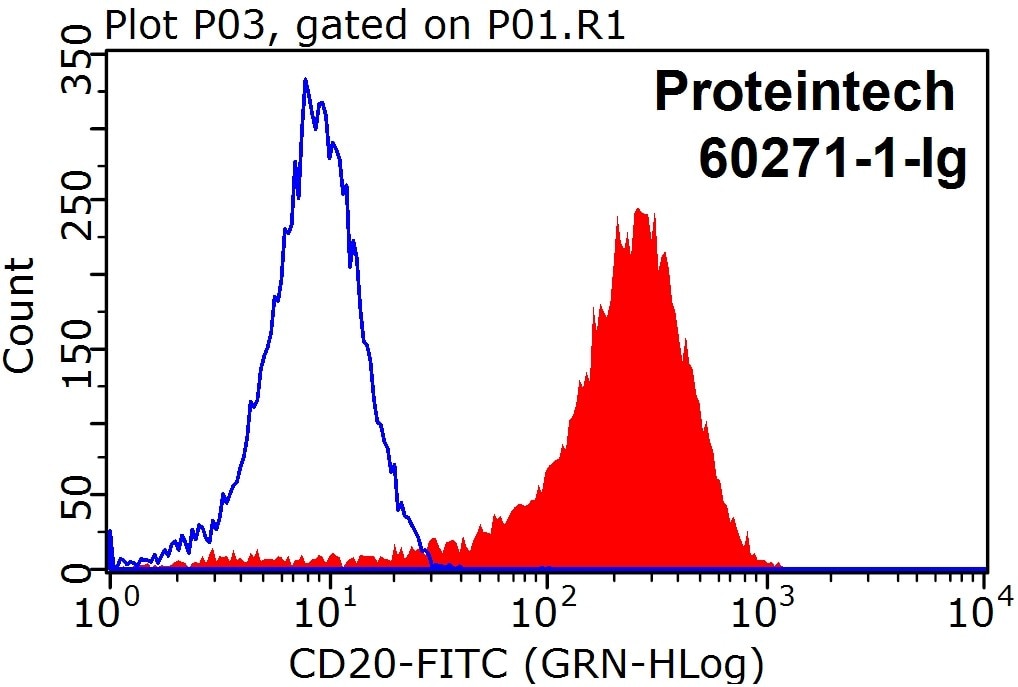 CD20