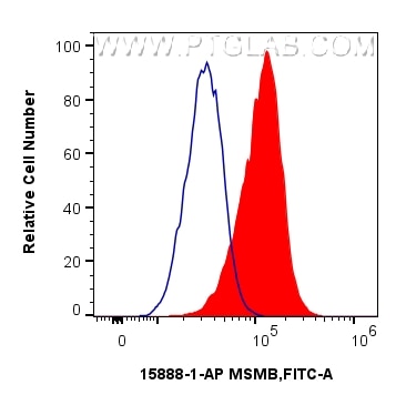 1x10^6 LNCaP cells were intracellularly stained with 0.25 ug MSMB Polyclonal antibody (15888-1-AP) and CoraLite®488-Conjugated Goat Anti-Rabbit IgG(H+L) (SA00013-2)(red),  or 0.25 ug Isotype Control (blue). Cells were fixed and permeabilized with Intracellular Flow Cytometry Fixation & Permeabilization Buffer Kit (PF00019). Flow cytometry (FC) experiment of LNCaP cells using MSMB Polyclonal antibody (15888-1-AP)