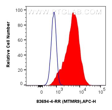 Flow cytometry (FC) experiment of A549 cells using MTMR9 Recombinant antibody (83694-4-RR)