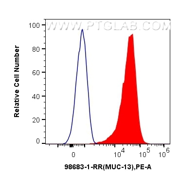 1x10^6 HT-29 cells were surface stained with 0.25 ug Anti-Human MUC13 Rabbit RecAb (98683-1-RR, Clone:252211G3) and PE-Conjugated Goat Anti-Rabbit IgG(H+L) (red), or 0.25 ug Rabbit IgG Isotype Control RecAb (98136-1-RR, Clone: 240953C9) (blue). Cells were not fixed. Flow cytometry (FC) experiment of HT-29 cells using Anti-Human MUC13 Rabbit Recombinant Antibody (98683-1-RR)