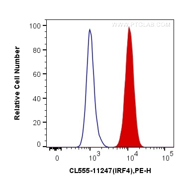 Flow cytometry (FC) experiment of Ramos cells using CoraLite®555-conjugated MUM1/IRF4 Polyclonal antib (CL555-11247)
