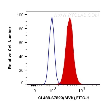Flow cytometry (FC) experiment of HepG2 cells using CoraLite® Plus 488-conjugated MVK Monoclonal antib (CL488-67820)