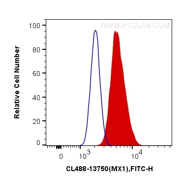 Flow cytometry (FC) experiment of A549 cells using CoraLite® Plus 488-conjugated MX1 Polyclonal antib (CL488-13750)