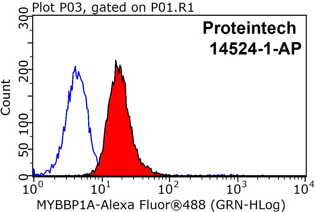 Flow cytometry (FC) experiment of HepG2 cells using MYBBP1A Polyclonal antibody (14524-1-AP)