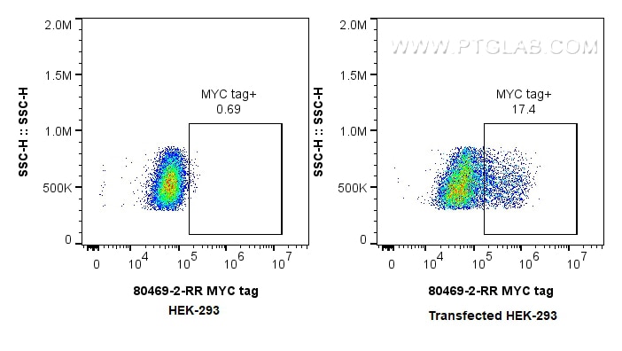 Flow cytometry (FC) experiment of Transfected HEK-293 cells using MYC tag Recombinant antibody (80469-2-RR)