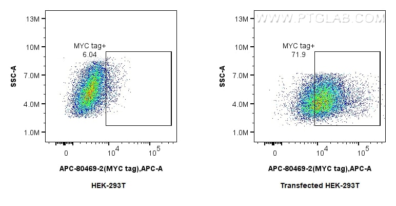 Flow cytometry (FC) experiment of Transfected HEK-293T cells using APC-conjugated MYC tag Recombinant monoclonal anti (APC-80469-2)