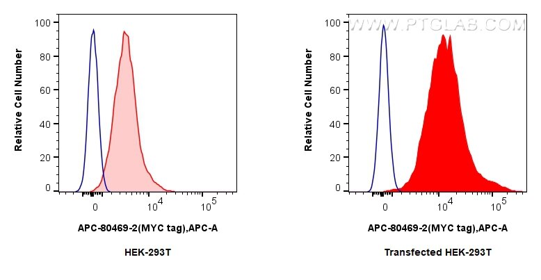 Flow cytometry (FC) experiment of Transfected HEK-293T cells using APC-conjugated MYC tag Recombinant monoclonal anti (APC-80469-2)