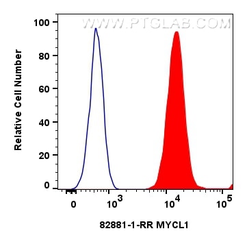 Flow cytometry (FC) experiment of HeLa cells using MYCL1 Recombinant antibody (82881-1-RR)