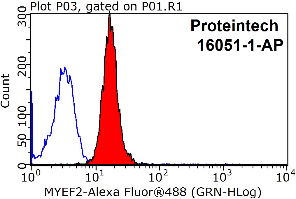 Flow cytometry (FC) experiment of HepG2 cells using MYEF2 Polyclonal antibody (16051-1-AP)