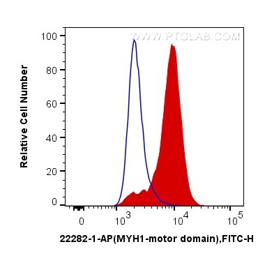 Flow cytometry (FC) experiment of C2C12 cells using MYH1-motor domain Polyclonal antibody (22282-1-AP)
