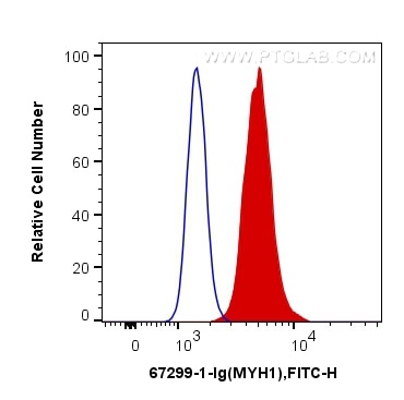 Flow cytometry (FC) experiment of C2C12 cells using MYH1 Monoclonal antibody (67299-1-Ig)