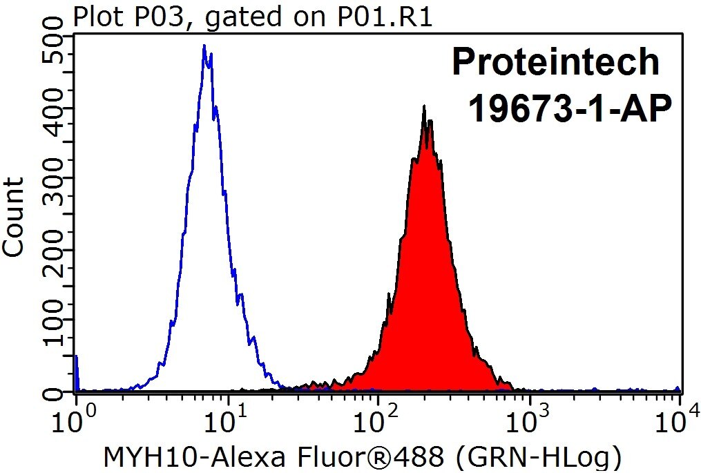 Flow cytometry (FC) experiment of HepG2 cells using MYH10-Specific Polyclonal antibody (19673-1-AP)