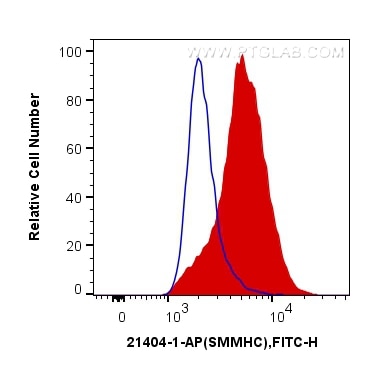 Flow cytometry (FC) experiment of C2C12 cells using SMMHC Polyclonal antibody (21404-1-AP)