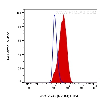 Flow cytometry (FC) experiment of HT-29 cells using MYH14 Polyclonal antibody (20716-1-AP)