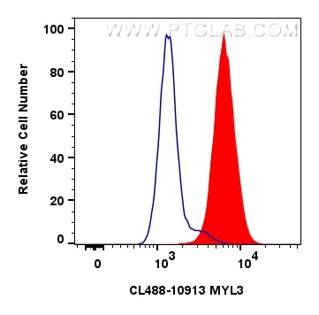 Flow cytometry (FC) experiment of C2C12 cells using CoraLite® Plus 488-conjugated MYL3 Polyclonal anti (CL488-10913)