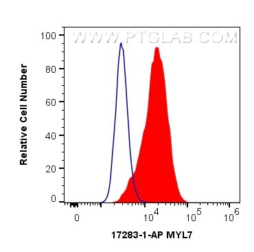 Flow cytometry (FC) experiment of C2C12 cells using MYL7 Polyclonal antibody (17283-1-AP)