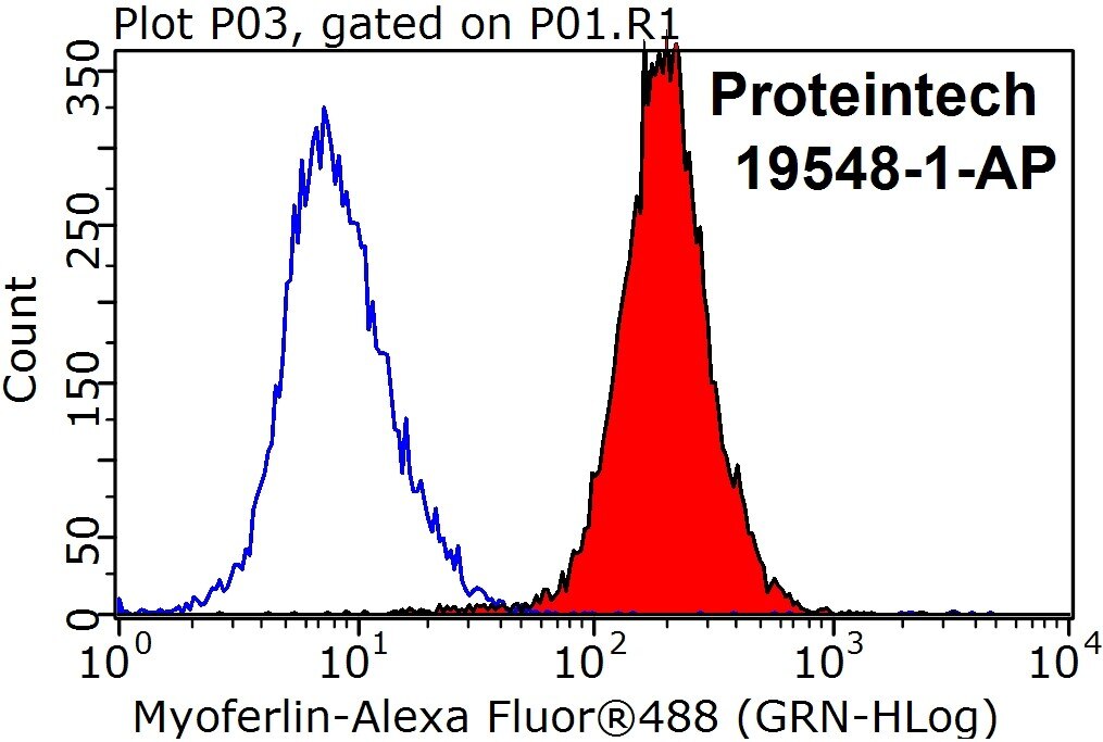 FC experiment of HeLa using 19548-1-AP