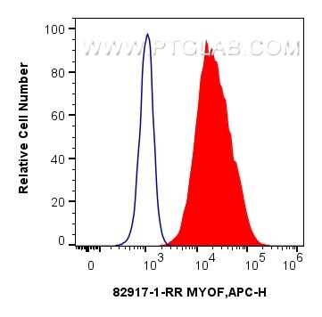 Flow cytometry (FC) experiment of HeLa cells using MYOF Recombinant antibody (82917-1-RR)