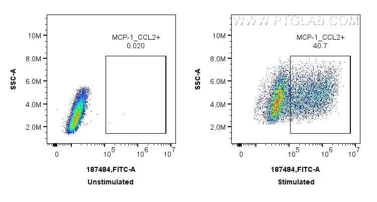 1x10^6 LPS and Brefeldin A treated RAW 264.7 cells were intracellularly stained with 0.25 ug MCP-1/CCL2 Polyclonal antibody (26161-1-AP) and CoraLite®488-Conjugated Goat Anti-Rabbit IgG(H+L) (SA00013-2), and 0.25 ug Isotype Control. Cells were fixed and permeabilized with Intracellular Flow Cytometry Fixation & Permeabilization Buffer Kit (PF00019). Flow cytometry (FC) experiment of RAW 264.7 cells using MCP-1/CCL2 Polyclonal antibody (26161-1-AP)