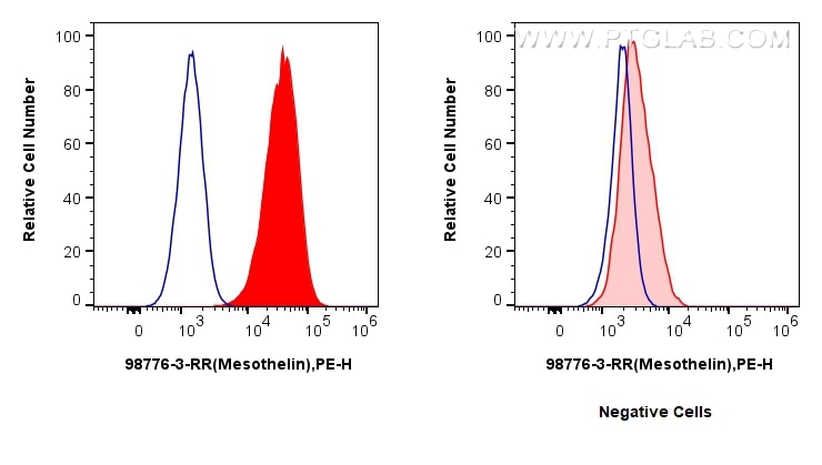 Flow cytometry (FC) experiment of HeLa cells using Anti-Human Mesothelin Rabbit Recombinant Antibody (98776-3-RR)