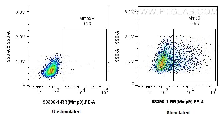 Flow cytometry (FC) experiment of RAW 264.7 cells using Anti-Mouse Mmp9 Rabbit Recombinant Antibody (98396-1-RR)