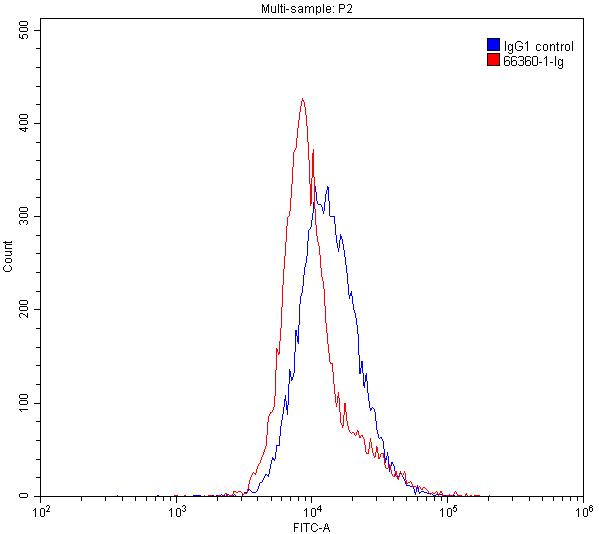 FC experiment of K-562 using 66360-1-Ig