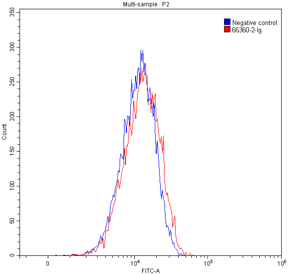 FC experiment of HeLa using 66360-2-Ig
