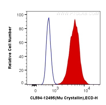 Flow cytometry (FC) experiment of SH-SY5Y cells using CoraLite®594-conjugated Mu Crystallin Polyclonal a (CL594-12495)