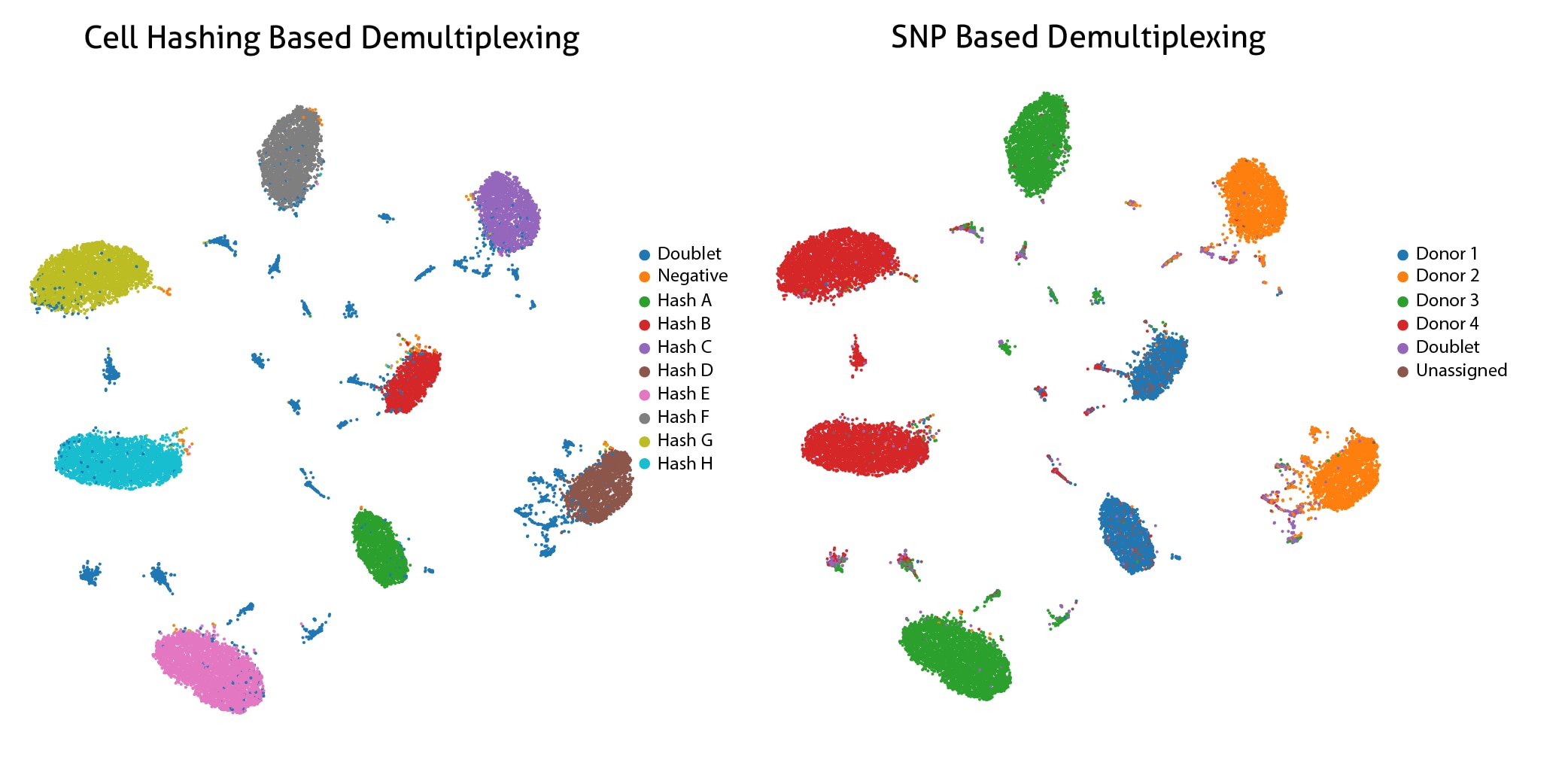 Left Panel: Human PBMCs stained with MultiPro® HashMax™-5 antibodies and processed through the 10x Genomics 5' Gene Expression workflow. Image shows successful antibody based demultiplexing. 4 unique donors were used, each donor was split into two samples and stained with cell hashing antibodies. 
Right Panel: Demultiplexing of human PBMCs based on SNP profiles. Each donor is represented by two clusters. 