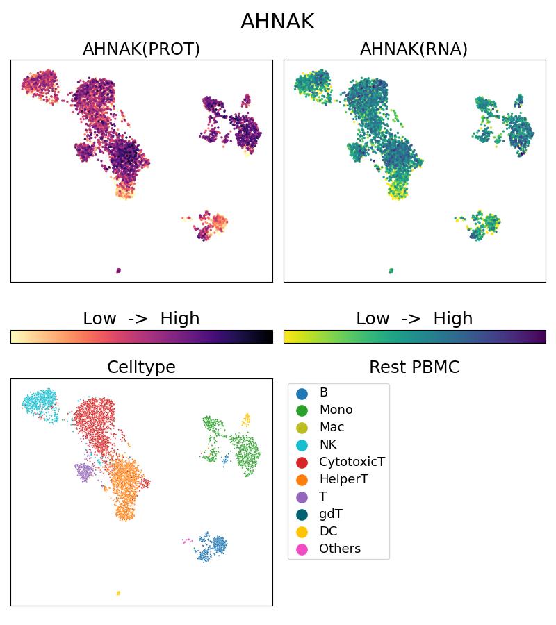 Single Cell Sequencing experiment G16637-1-5C on Resting PBMC