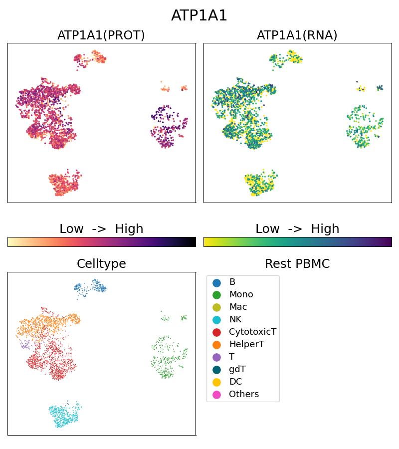 Single Cell Sequencing experiment G14418-1-5C on Resting PBMC