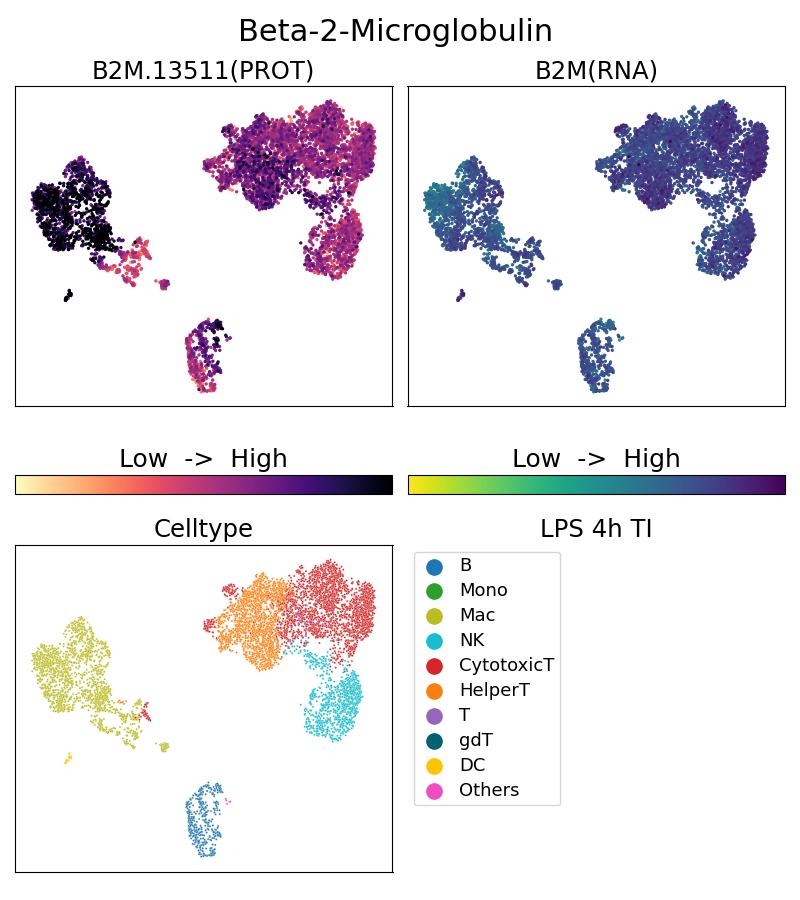 Beta-2-Microglobulin