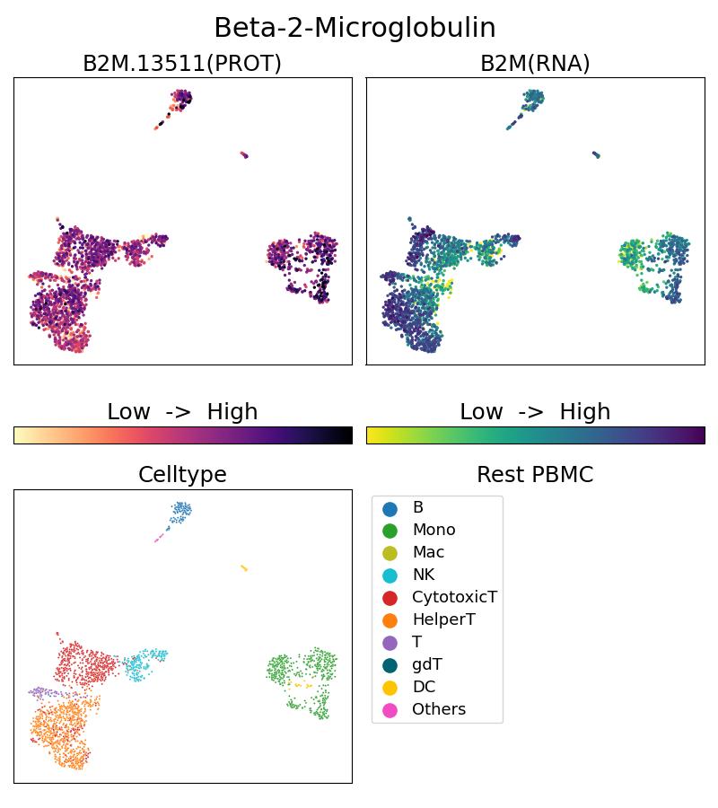 Single Cell Sequencing experiment G13511-1-5C on Resting PBMC