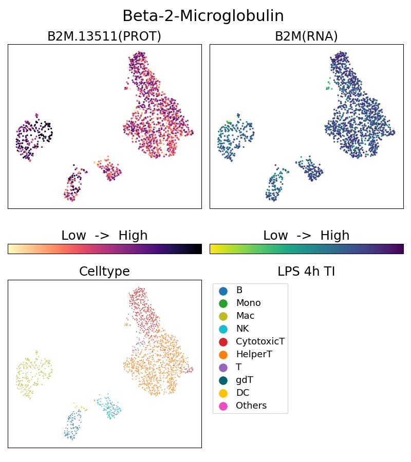 Single Cell Sequencing experiment G13511-1-5C on PBMC treated with 4hr LPS + TI