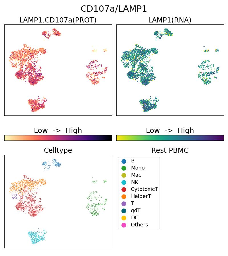 Single Cell Sequencing experiment G65051-1-5C on Resting PBMC