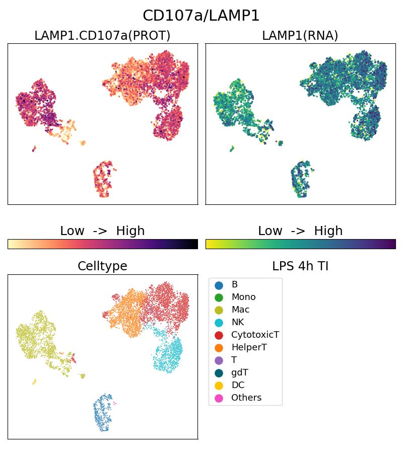 Single Cell Sequencing experiment G65051-1-5C on PBMC treated with 4hr LPS + TI