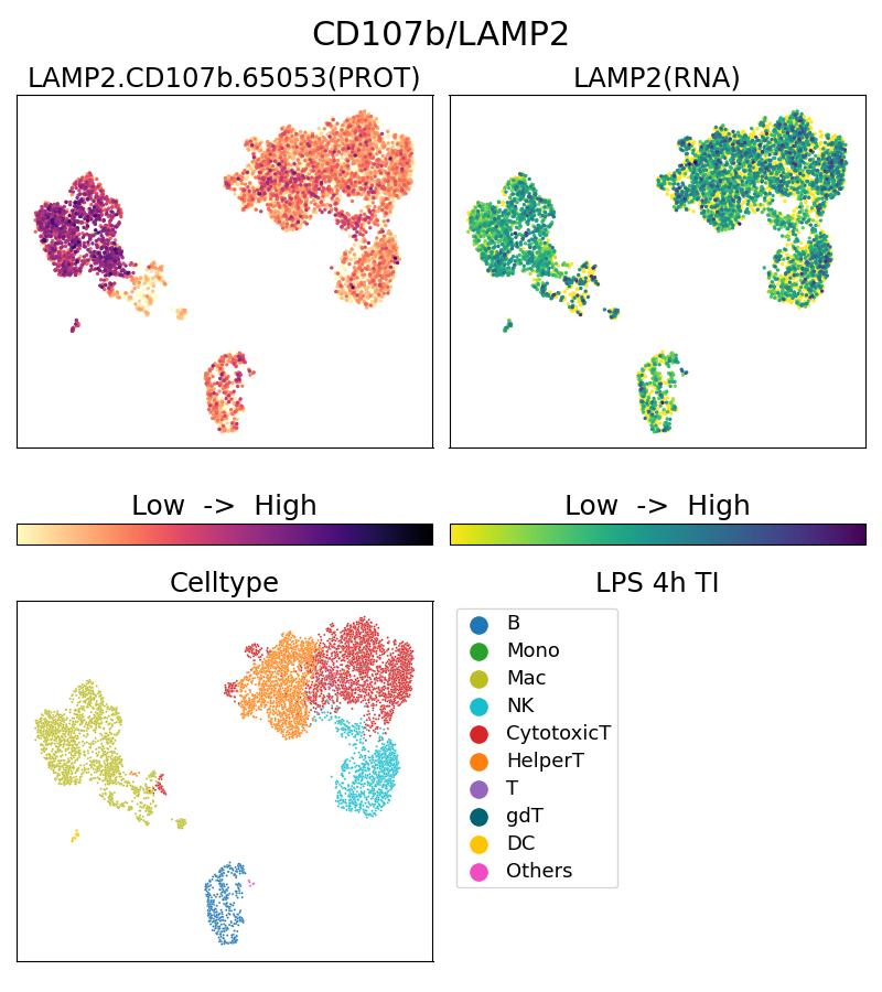 Single Cell Sequencing experiment G65053-1-5C on PBMC treated with 4hr LPS + TI