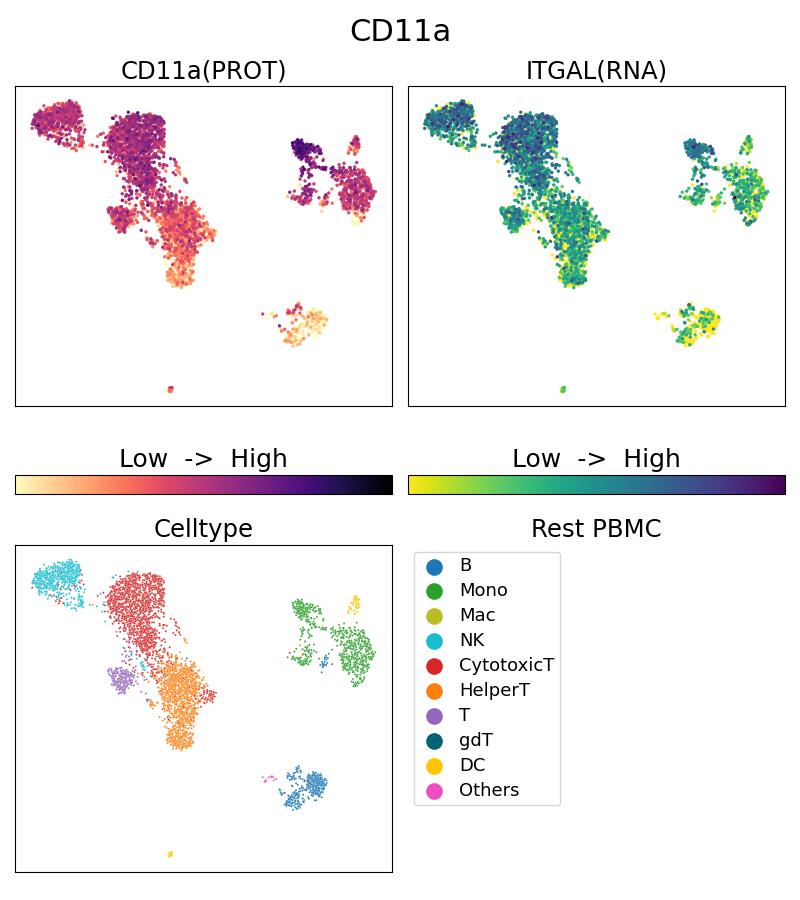 Single Cell Sequencing experiment G65194-1-5C on Resting PBMC