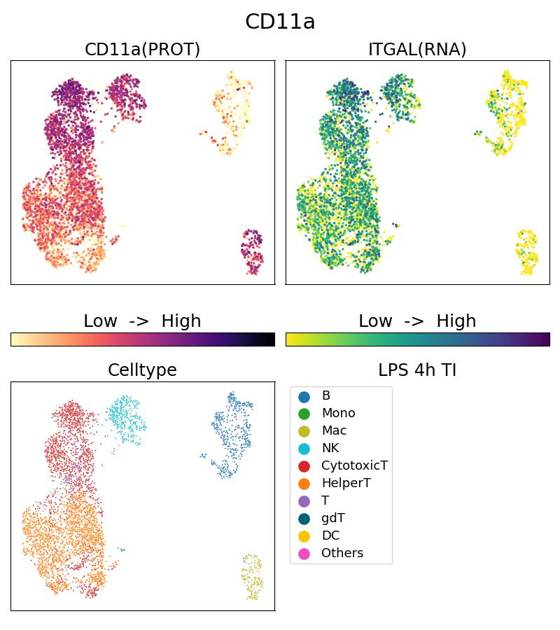 Single Cell Sequencing experiment G65194-1-5C on PBMC treated with 4hr LPS + TI