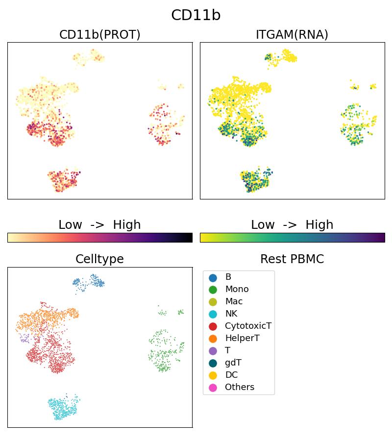 Single Cell Sequencing experiment G65116-1-5C on Resting PBMC