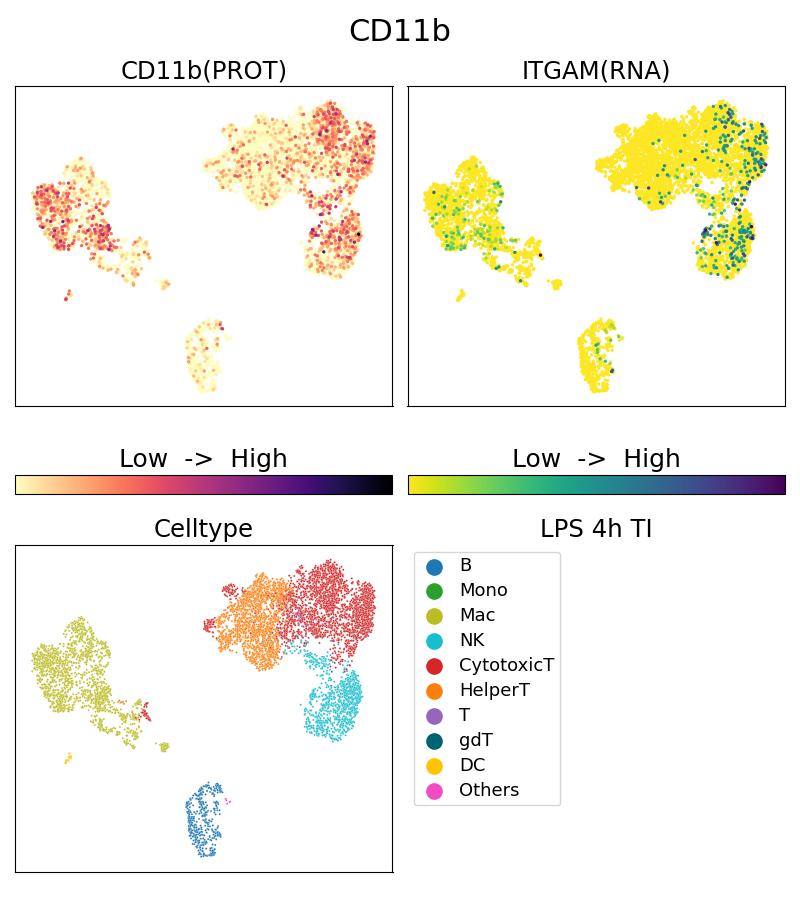 Single Cell Sequencing experiment G65116-1-5C on PBMC treated with 4hr LPS + TI