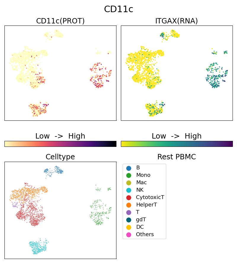 Single Cell Sequencing experiment G65086-1-5C on Resting PBMC