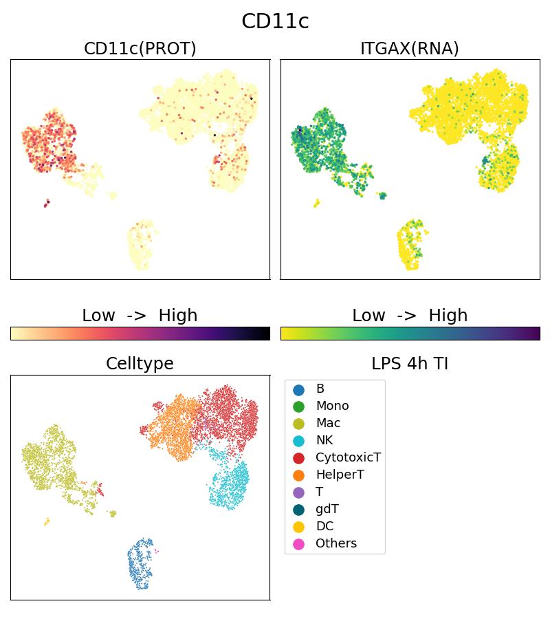 Single Cell Sequencing experiment G65086-1-5C on PBMC treated with 4hr LPS + TI