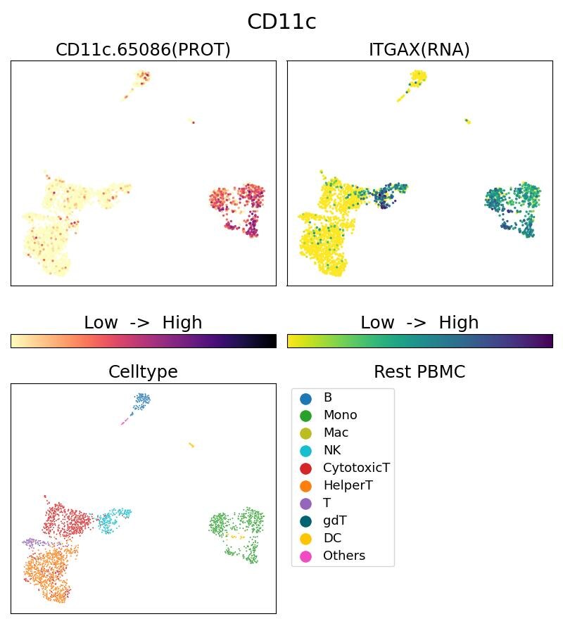 Single Cell Sequencing experiment G65086-1-5C on Resting PBMC