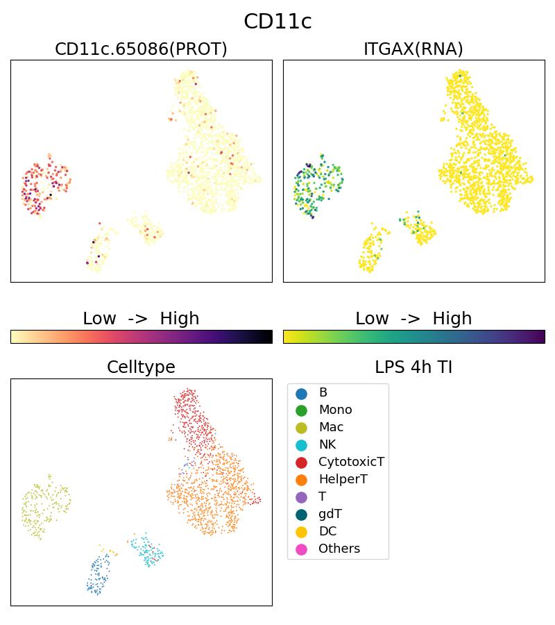 Single Cell Sequencing experiment G65086-1-5C on PBMC treated with 4hr LPS + TI