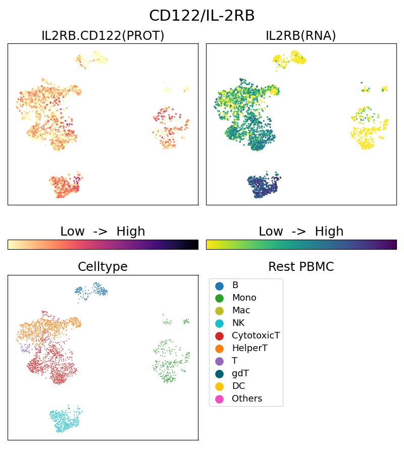 Single Cell Sequencing experiment G13602-1-5C on Resting PBMC