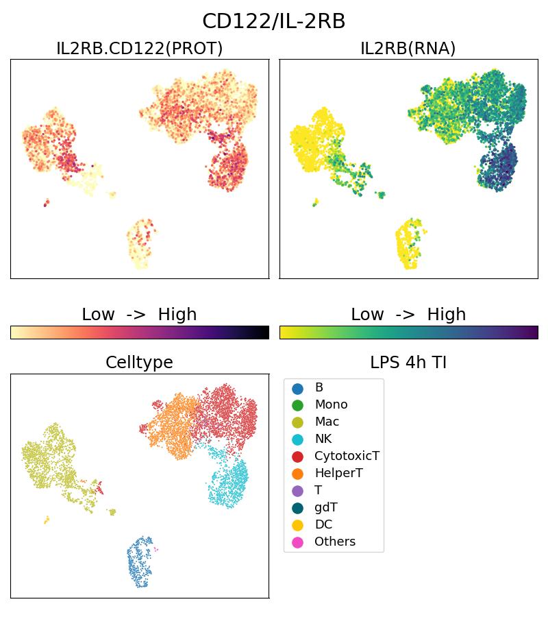 Single Cell Sequencing experiment G13602-1-5C on PBMC treated with 4hr LPS + TI