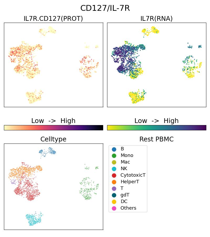 Single Cell Sequencing experiment G17626-1-5C on Resting PBMC