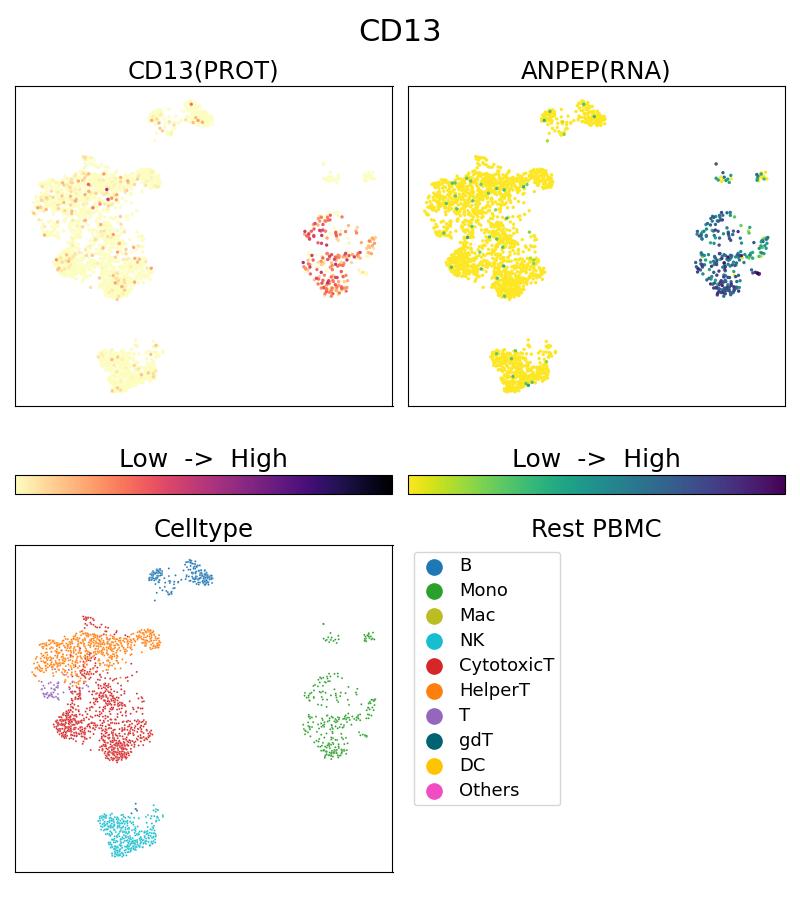 Single Cell Sequencing experiment G65186-1-5C on Resting PBMC