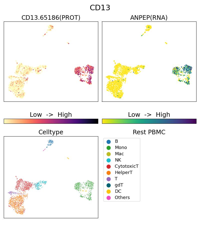 Single Cell Sequencing experiment G65186-1-5C on Resting PBMC